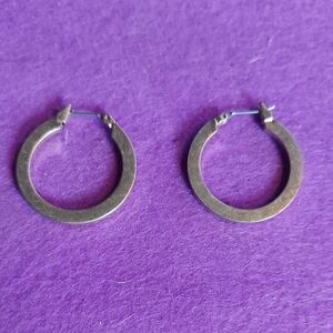 Elegant Goldtone Hoop Earrings